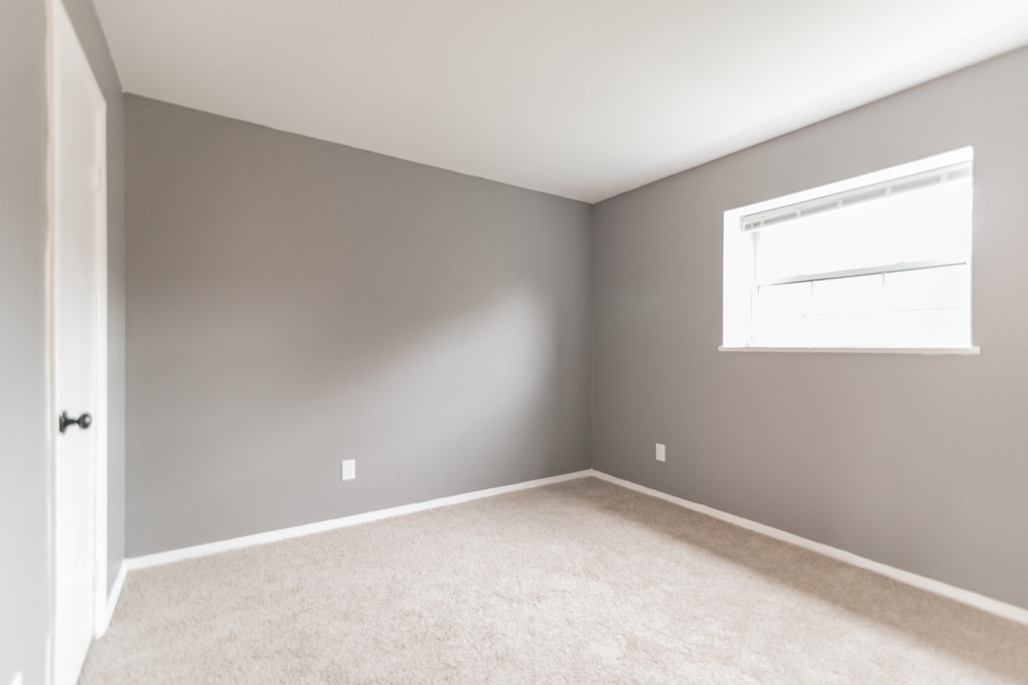 Abelia Square Image 8