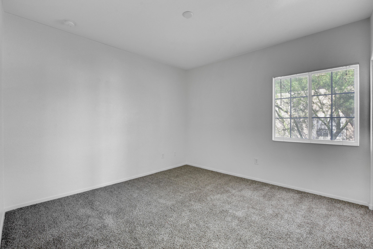 Aspen Peak Apartments Image 55