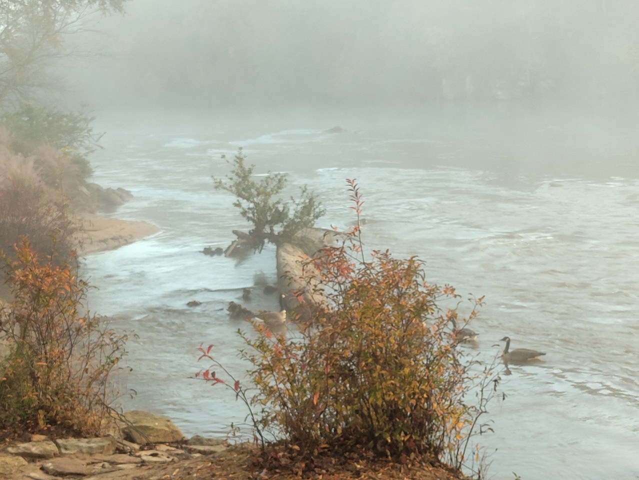 Walton on the Chattahoochee Image 63