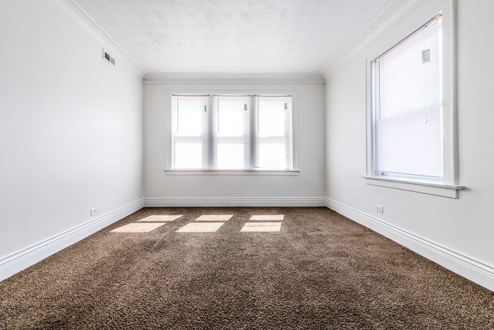 11250 S. Indiana Ave-Pangea Real Estate Image 5