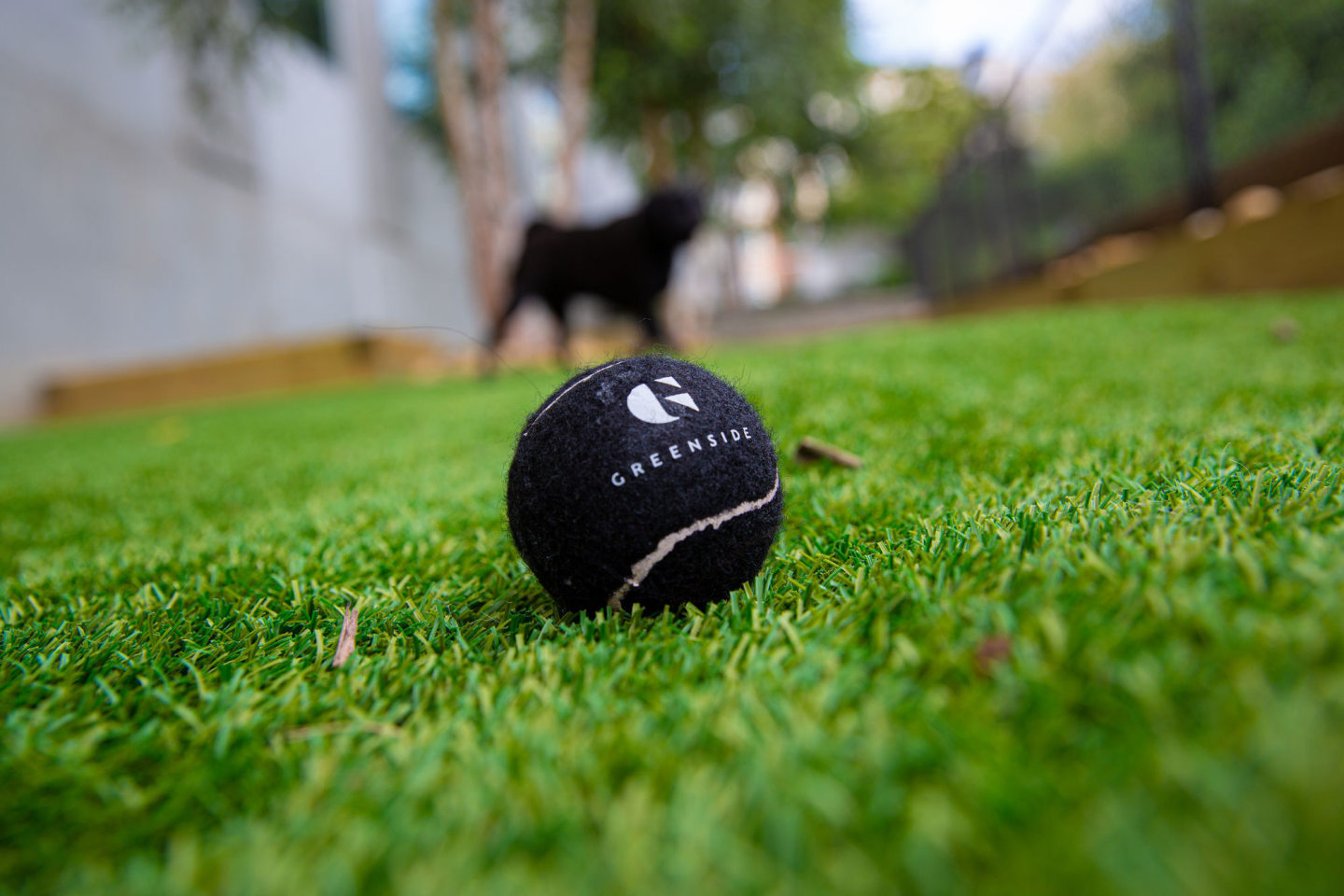 Greenside Image 27