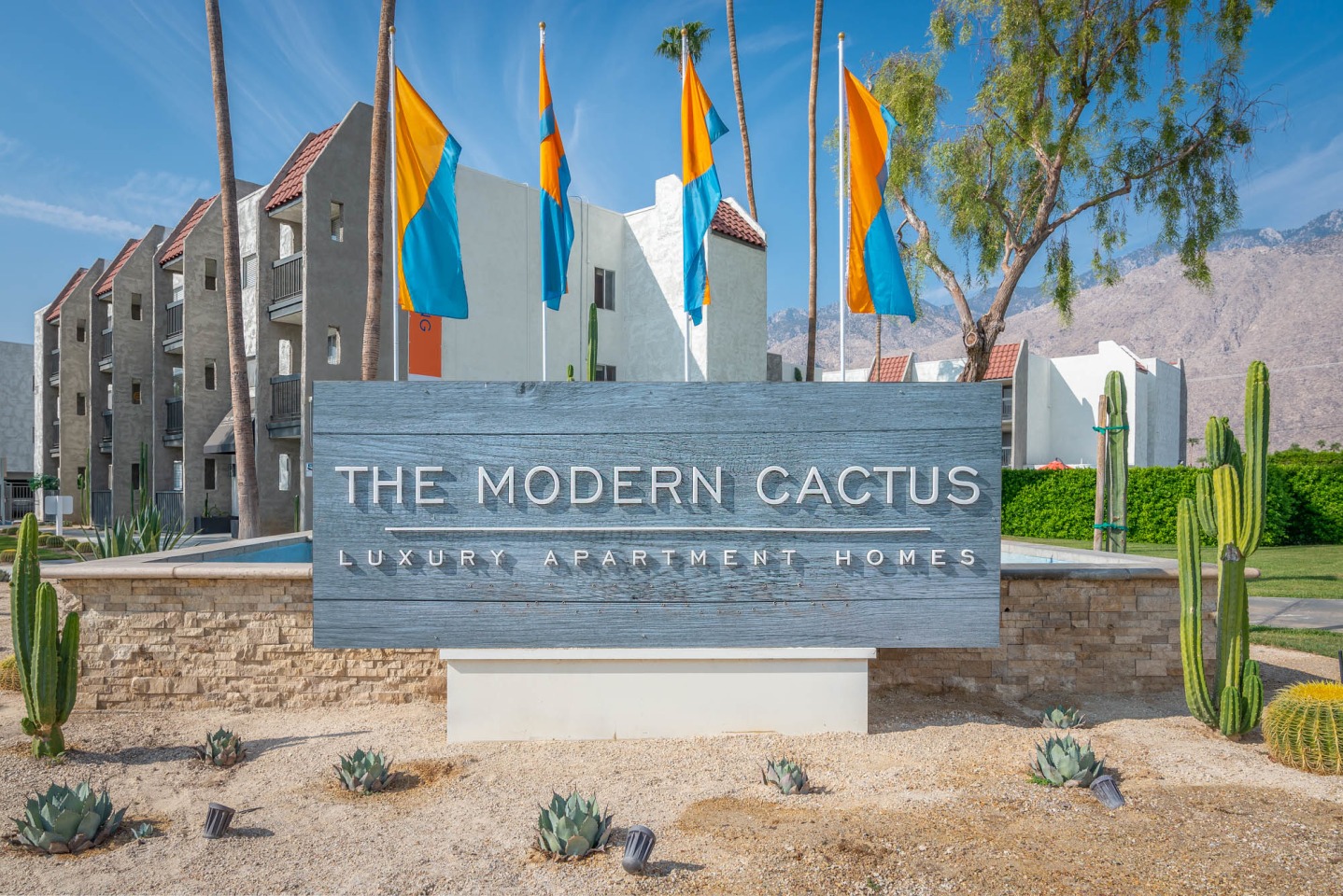 THE MODERN CACTUS Image 11