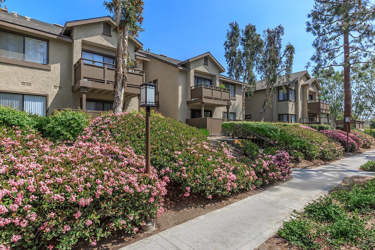 Spring Lakes Apartment Homes Image 24