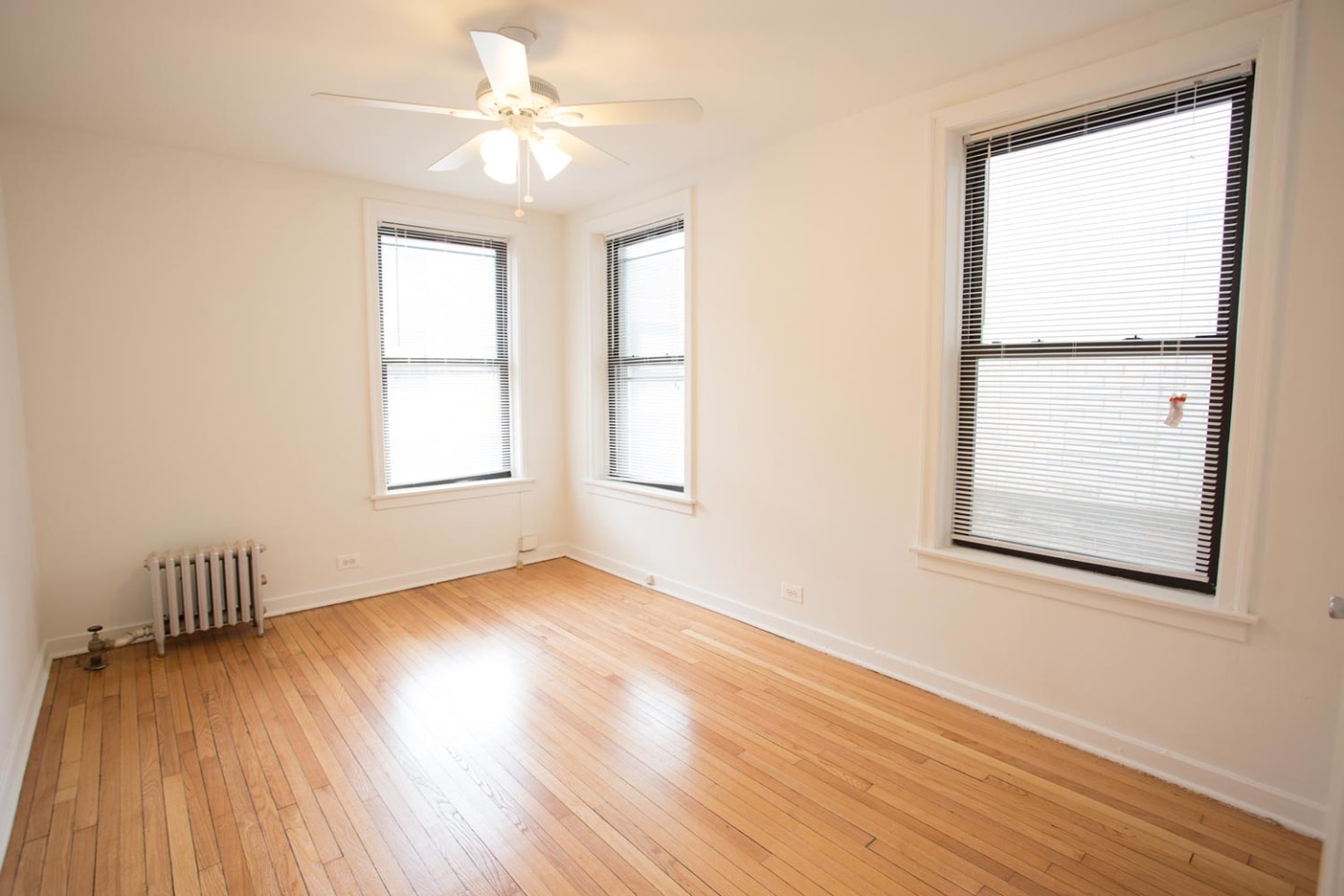 5337 S. Hyde Park Boulevard Image 6