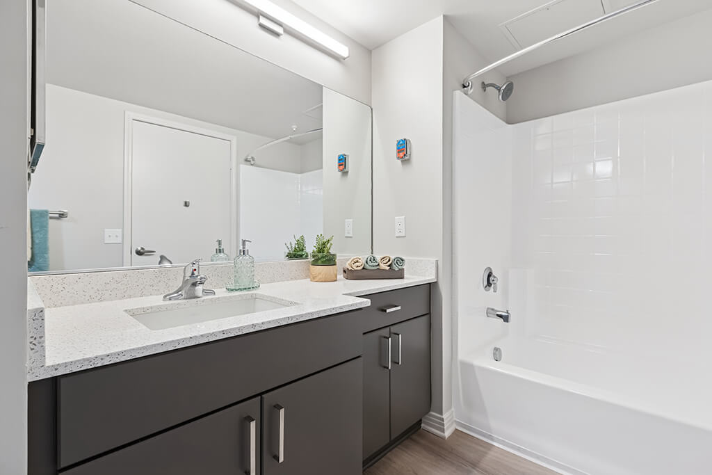 Haven at Del Mar Station Apartments Image 6