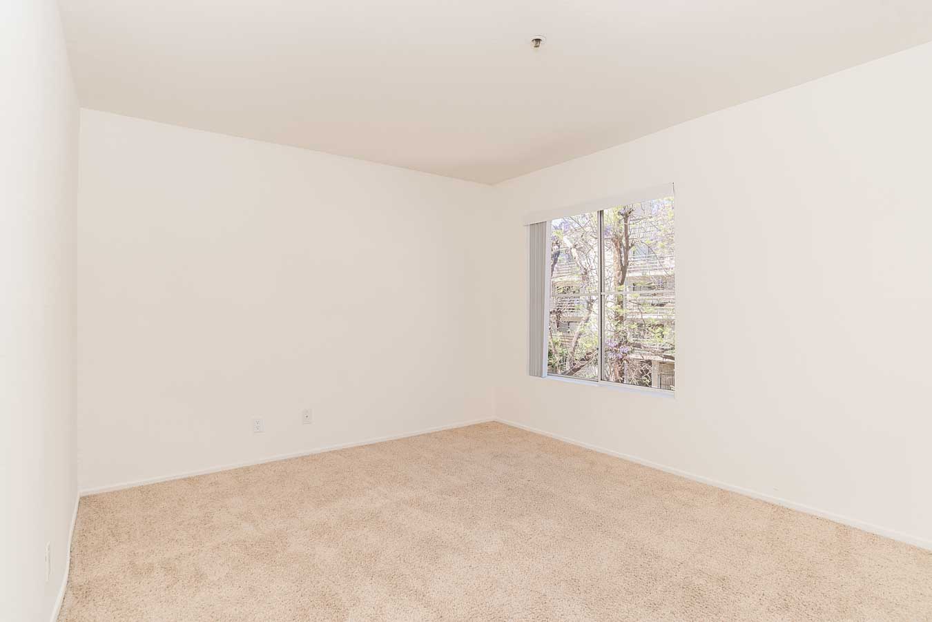 Marlon Manor Apartments Image 7