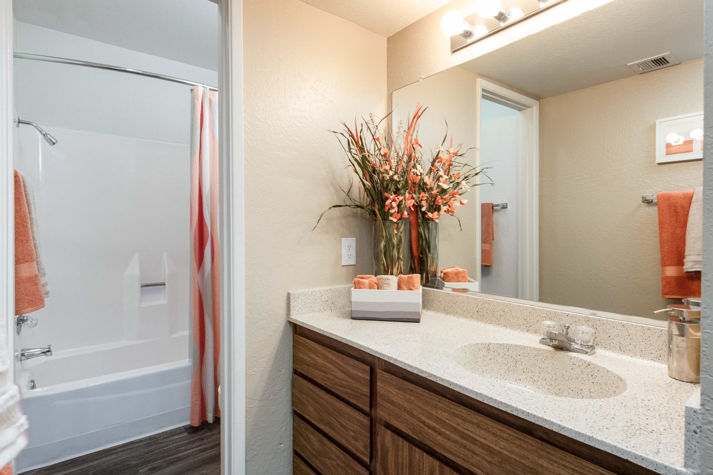Camelback Cove Apartments Image 19