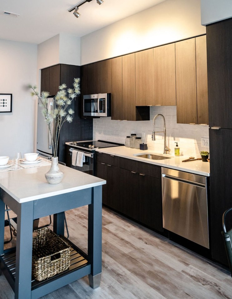 ONE501 Image 15