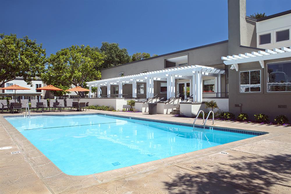 View at Marin Apartments Image 11
