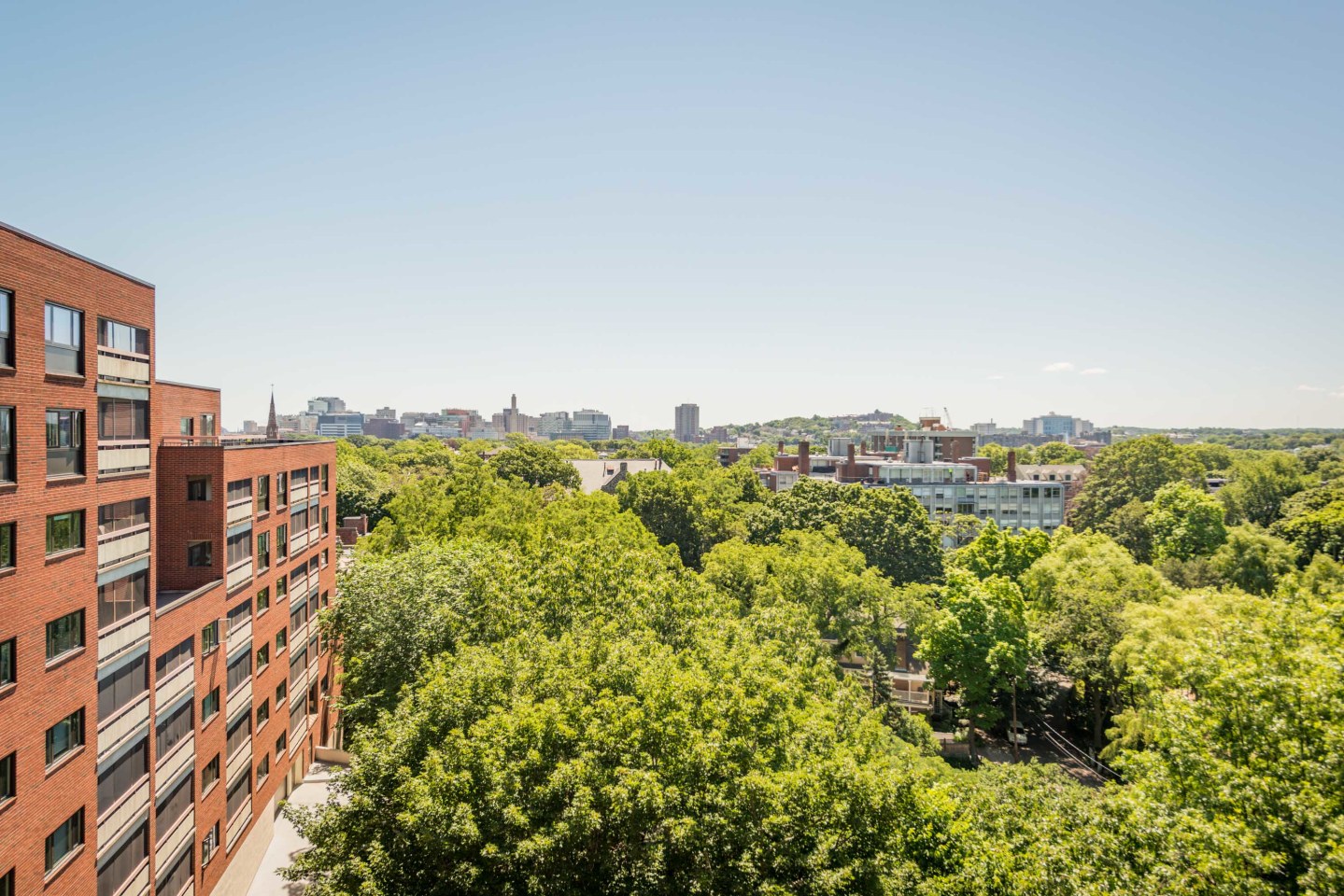 1443 Beacon Street Image 32