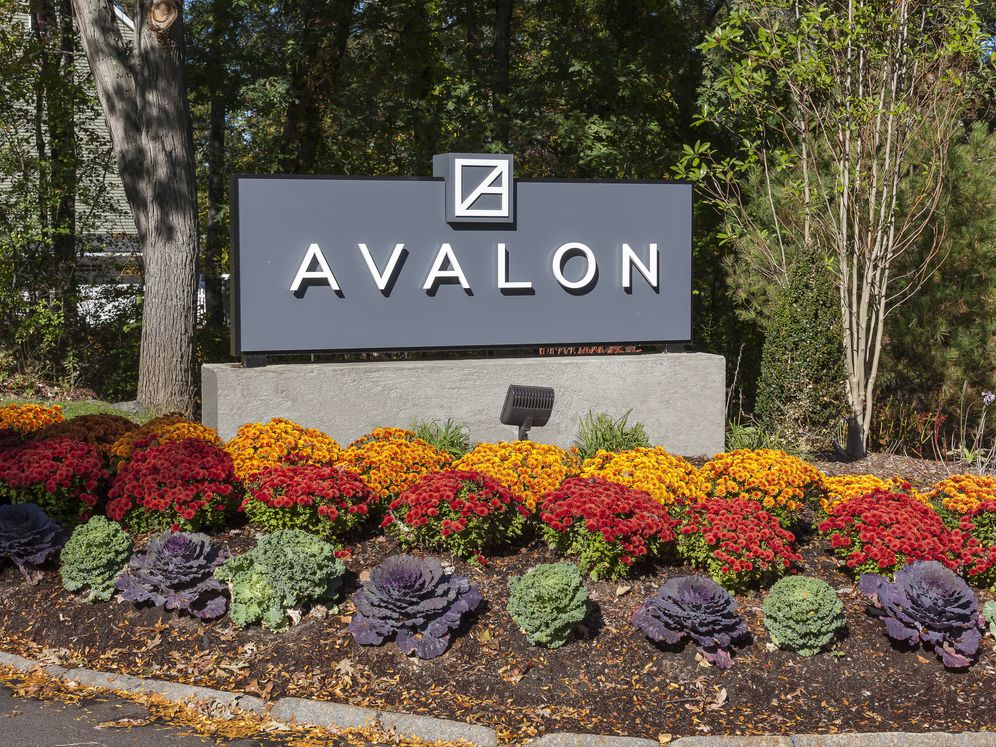 Avalon Burlington Image 3