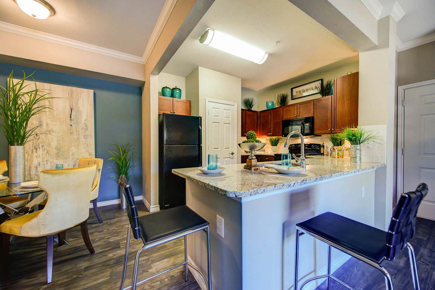 Callista Hill Country Apartments Image 3