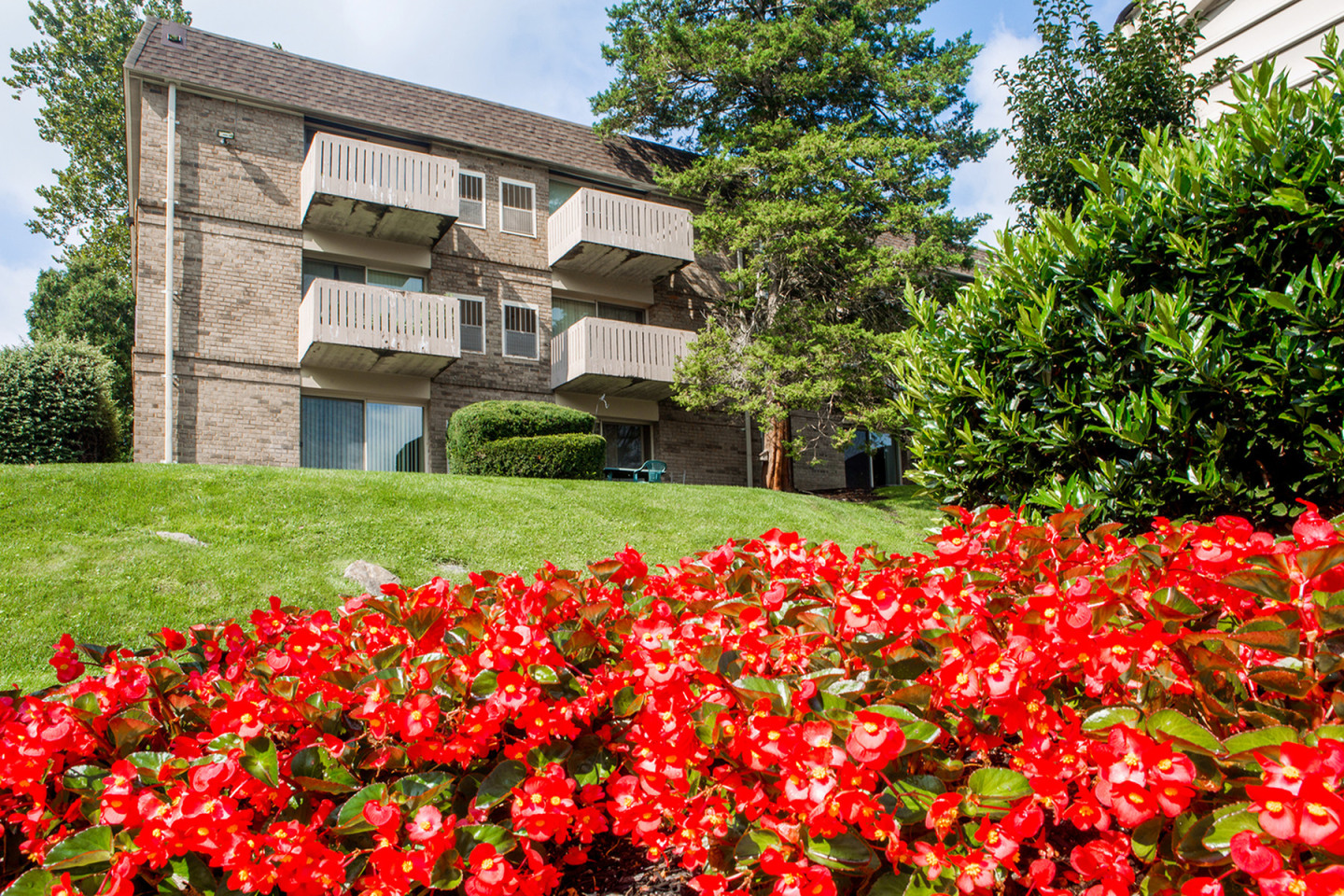 Top of the Hill Apartments Image 15