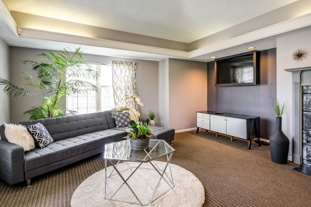 Coach House Apartments Image 9