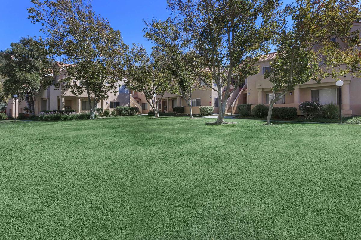 The Terrace Apartments Image 79