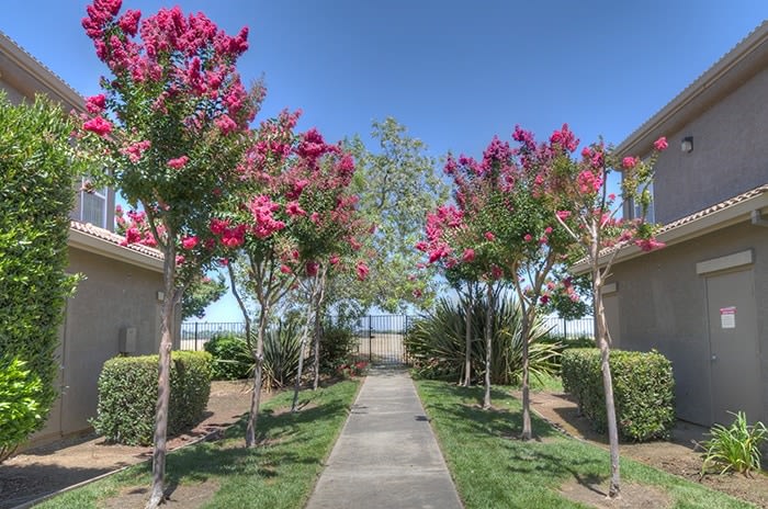 Stonelake Apartment Homes Image 26