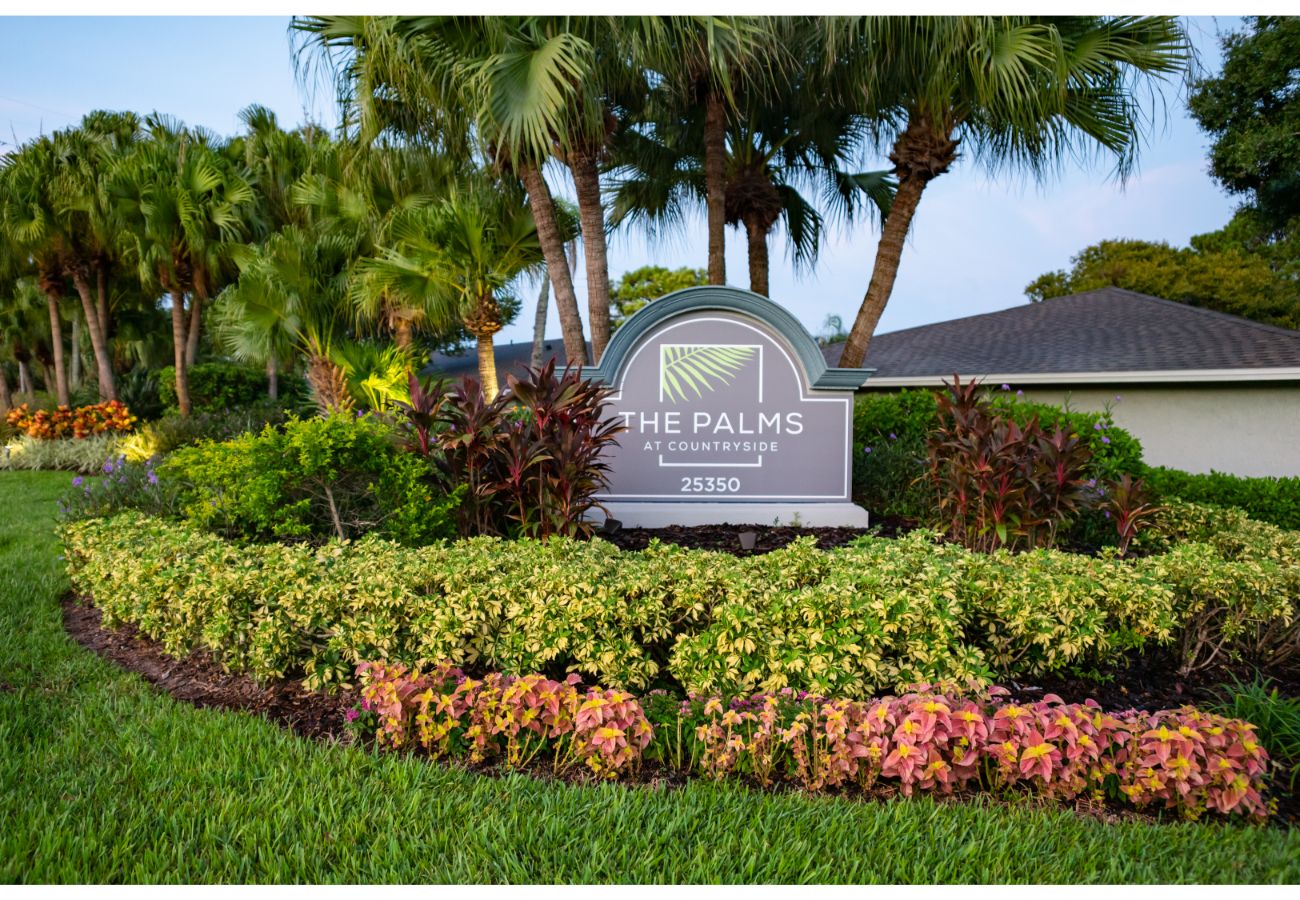The Palms at Countryside Apartments Image 21