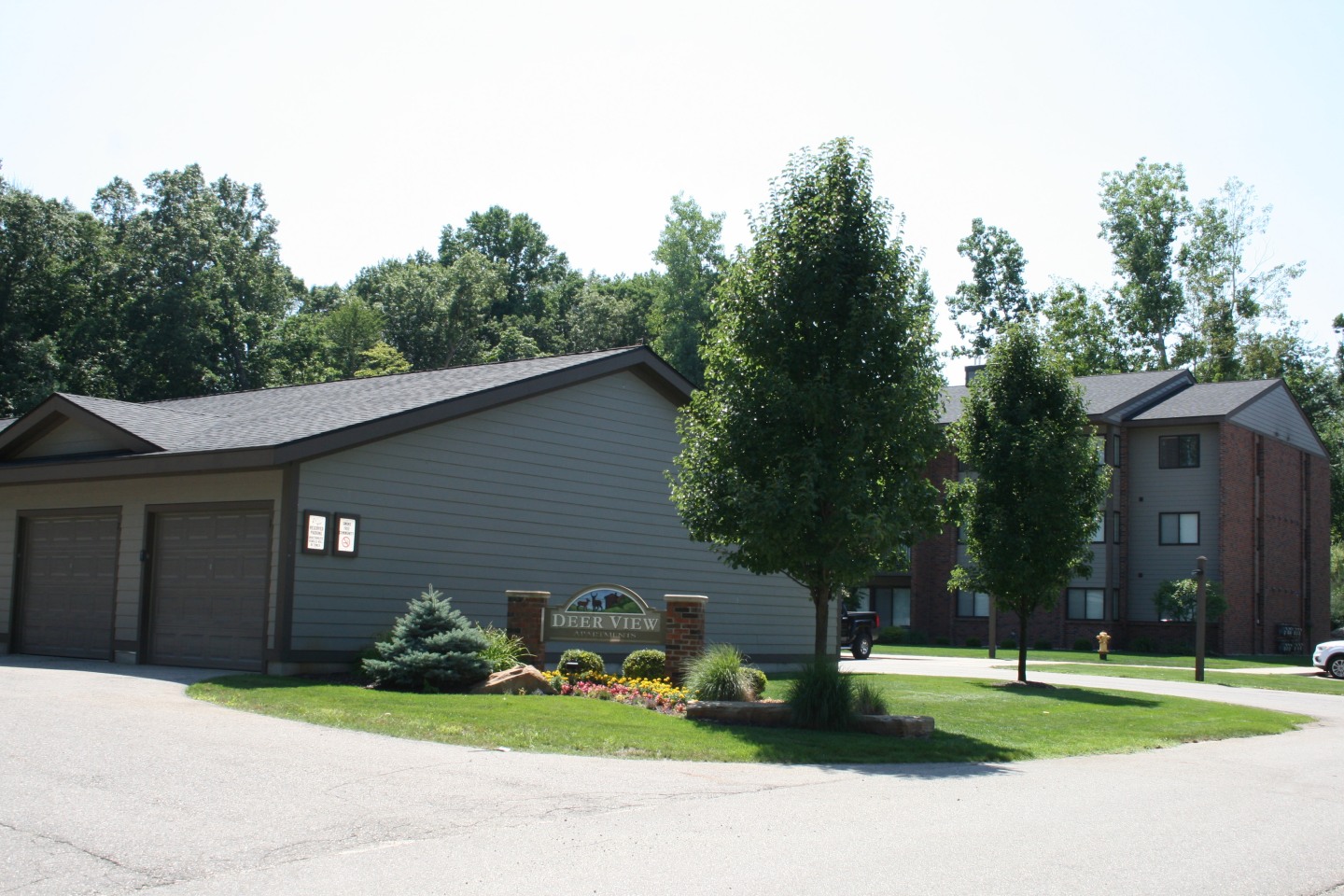 Deer View Image 88