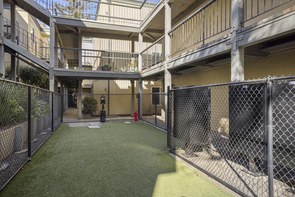 View at Marin Apartments Image 1