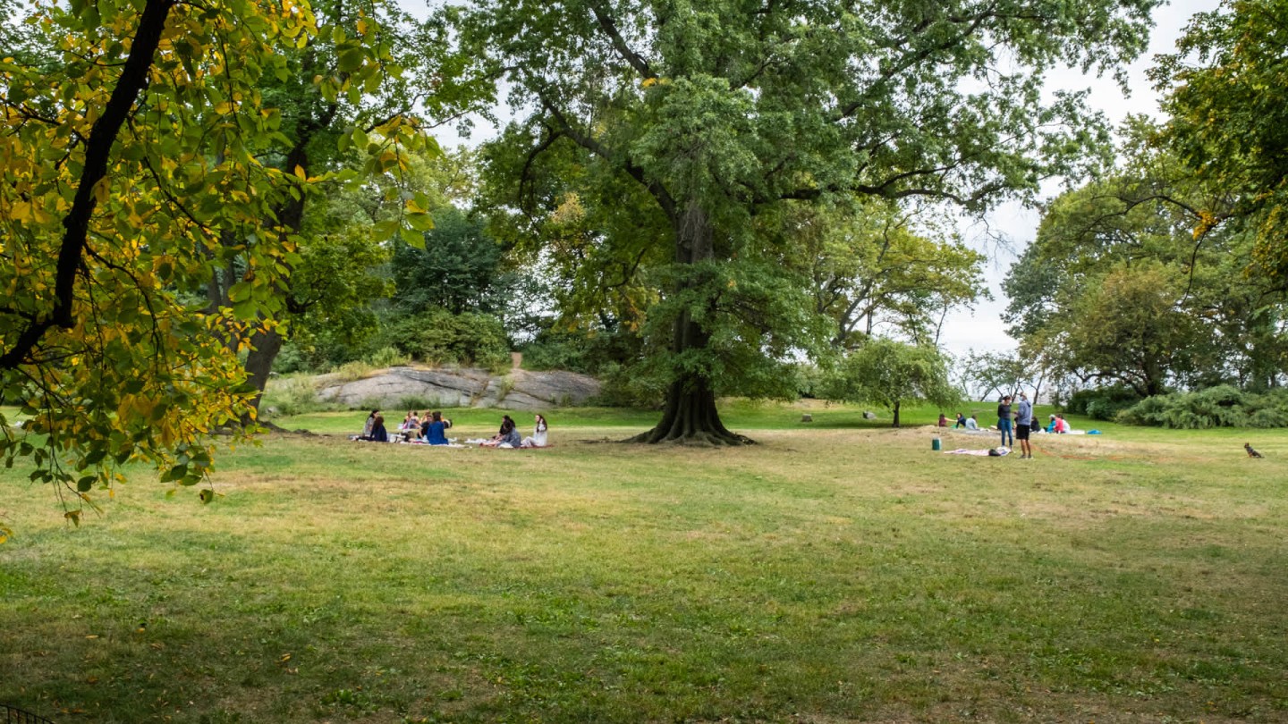 Parc 77 Image 28