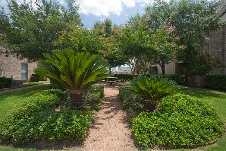 Sage Hollow Apartments Image 3