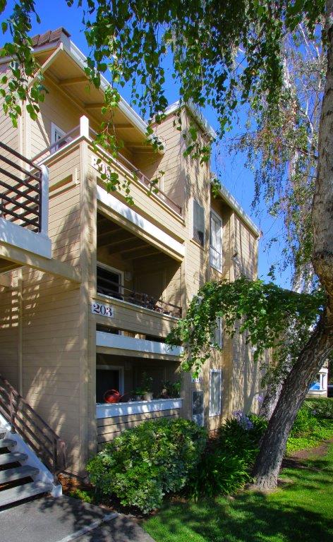 Arcadian Apartments Image 3