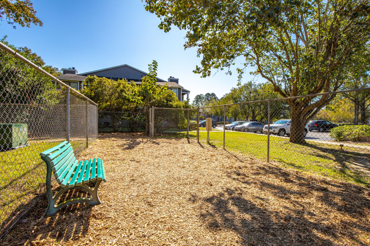Palmetto Grove Image 10