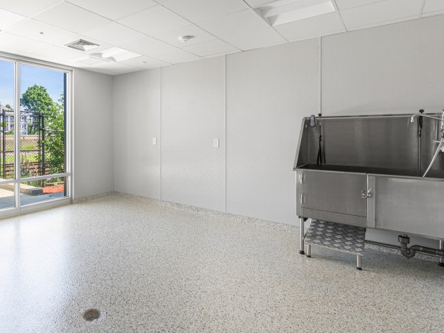 Trac75 Image 16