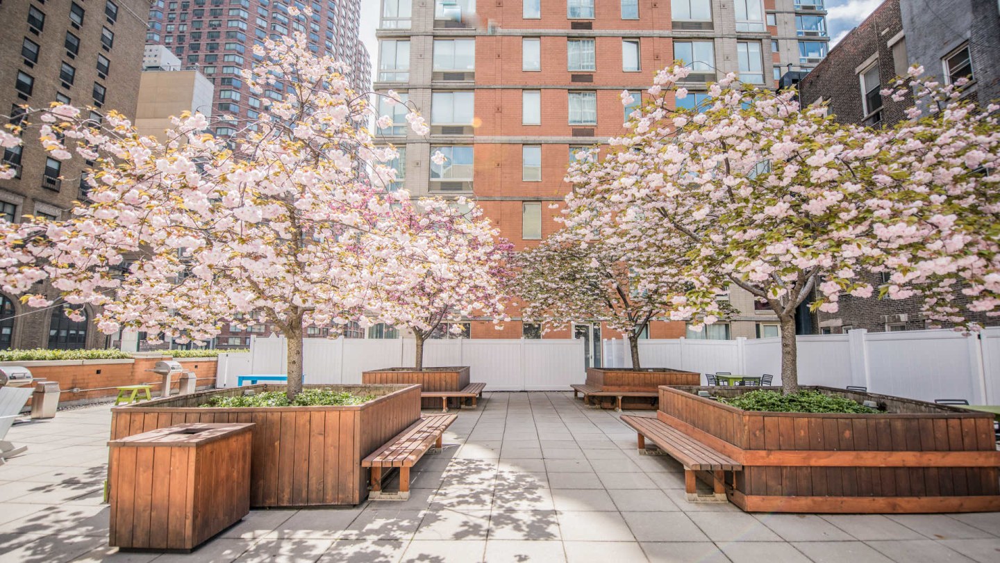 Longacre House Apartments Image 3