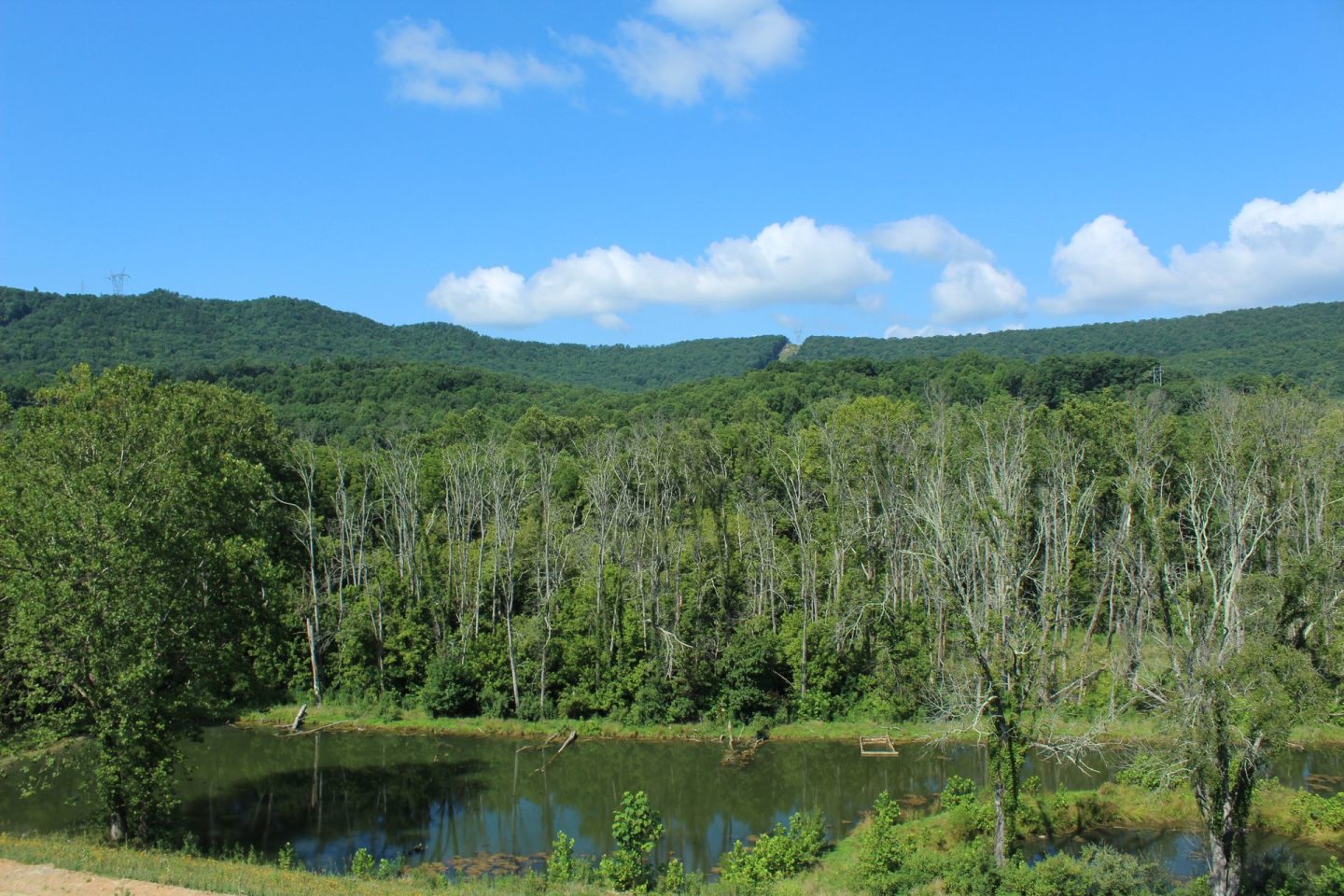 The Reserve at Daleville Image 24