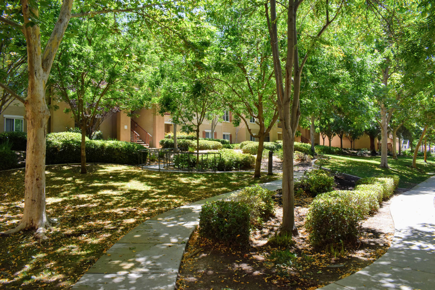 Bell Murrieta Springs Image 19