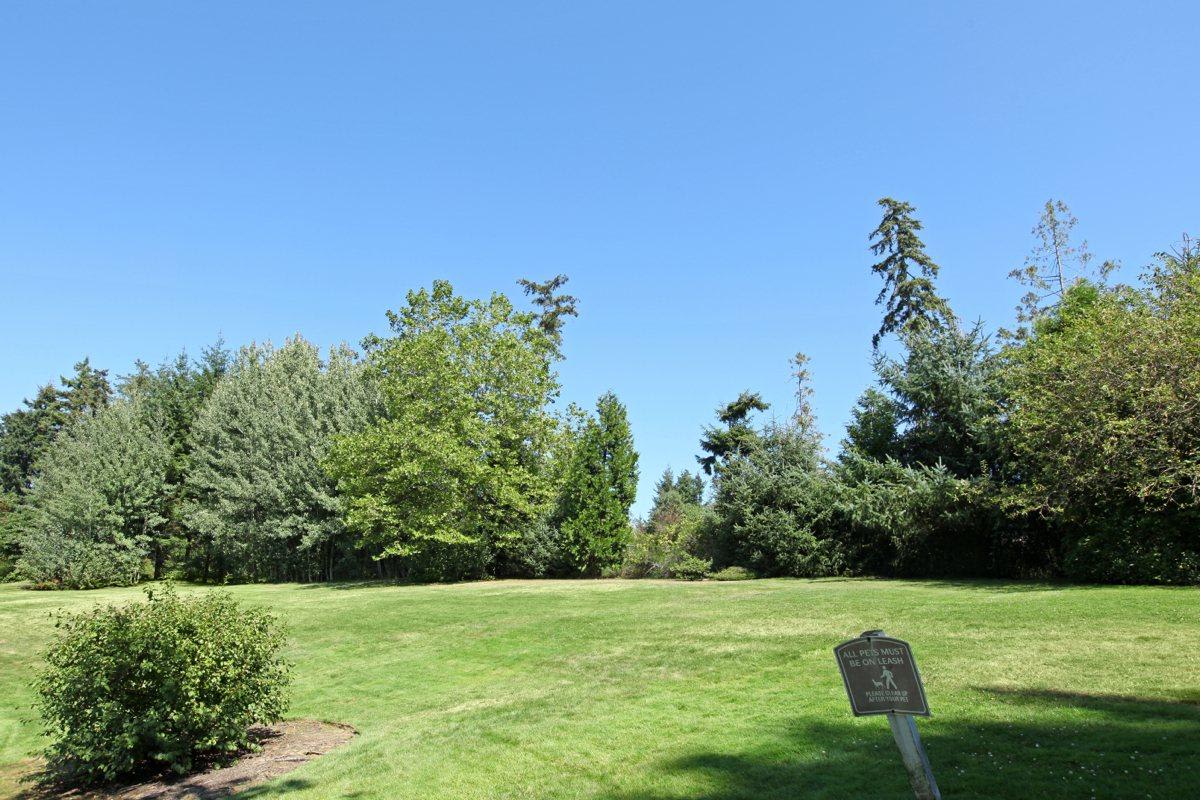 Forest Grove Image 29