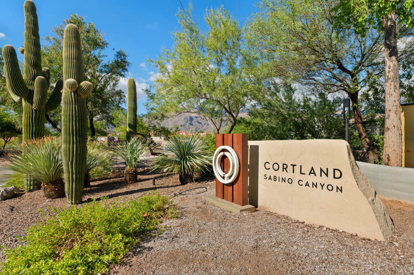 Cortland Sabino Canyon Image 22