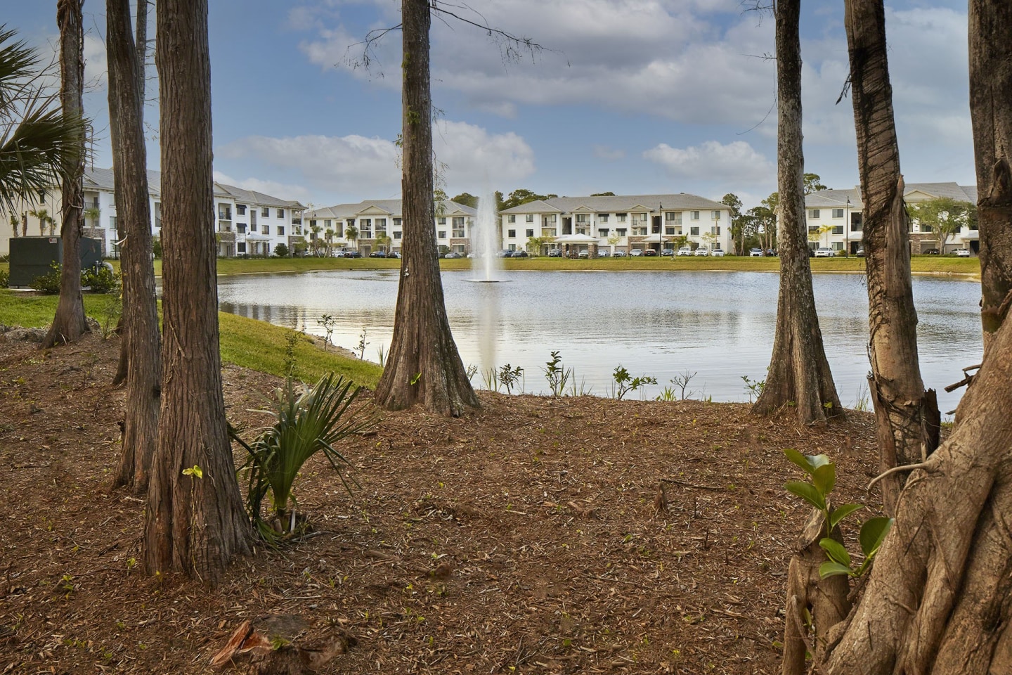 The Preserve Cypress Hammock Image 28