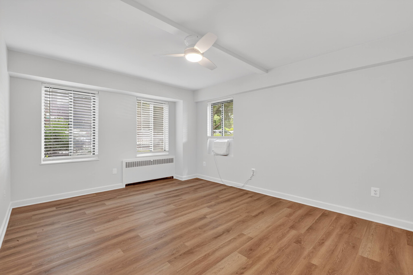 The Chesapeake Image 6