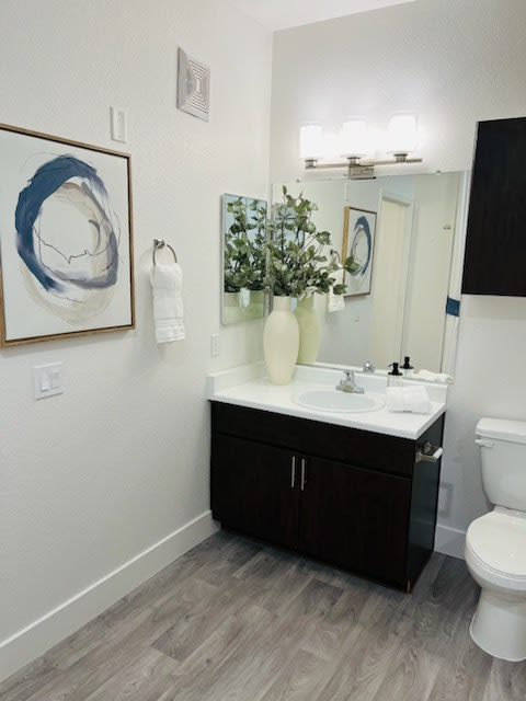 Elevation Luxury Apartments Image 6