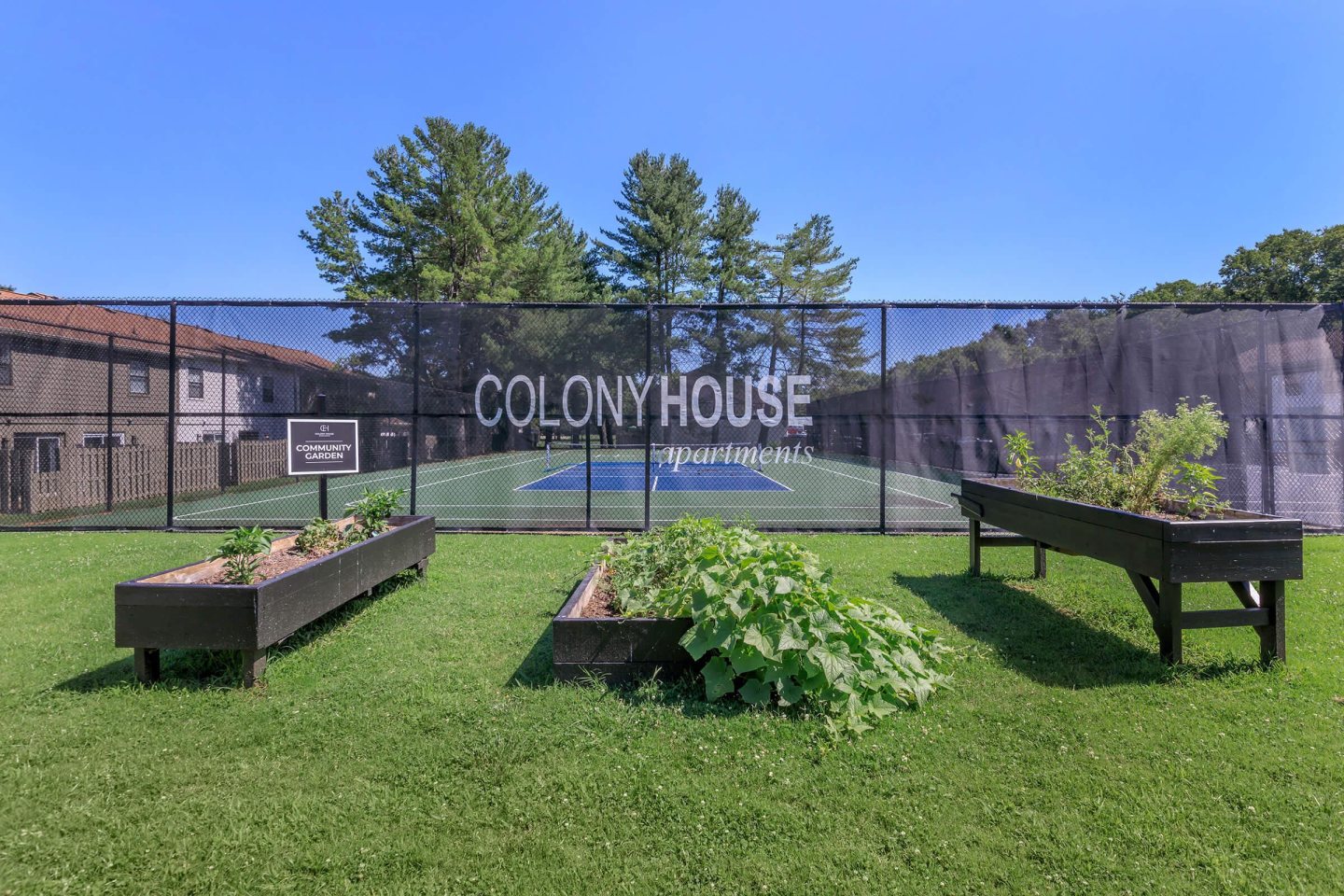 Colony House Image 24