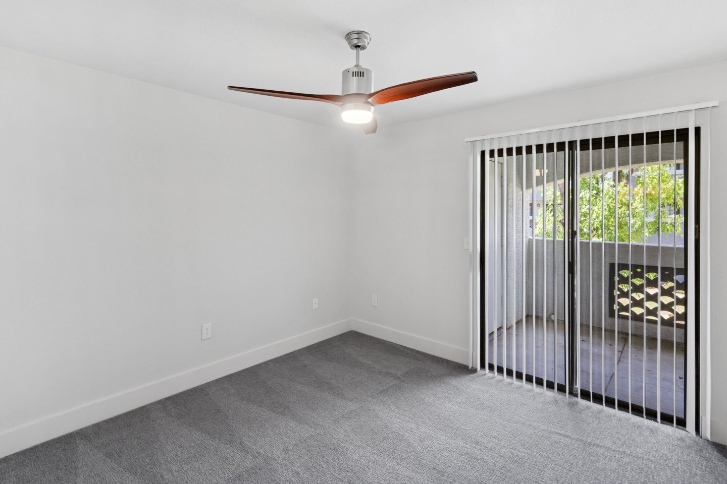 Calista Image 6