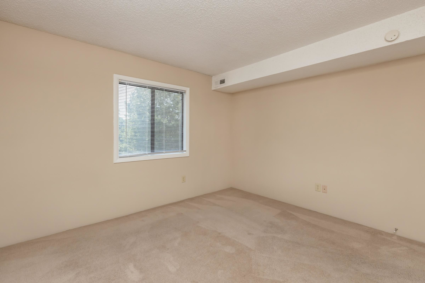 Lake Brandt Apartments Image 11