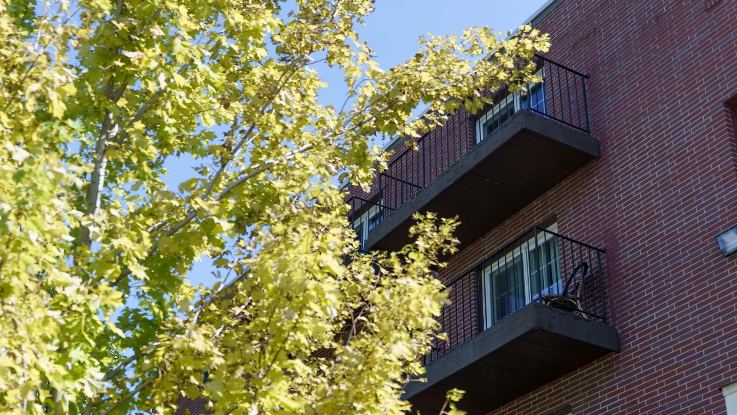 The Park Terrace Image 1