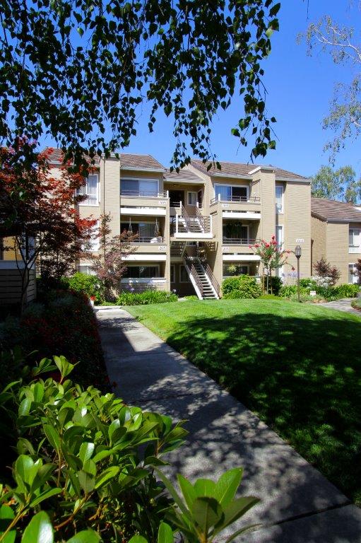Arcadian Apartments Image 16
