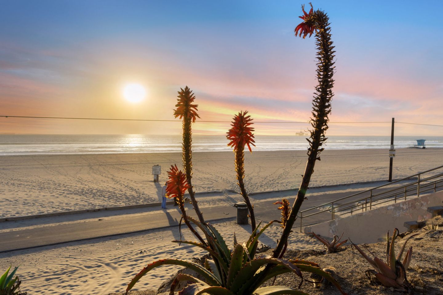 Ocean Breeze Terrace Image 39