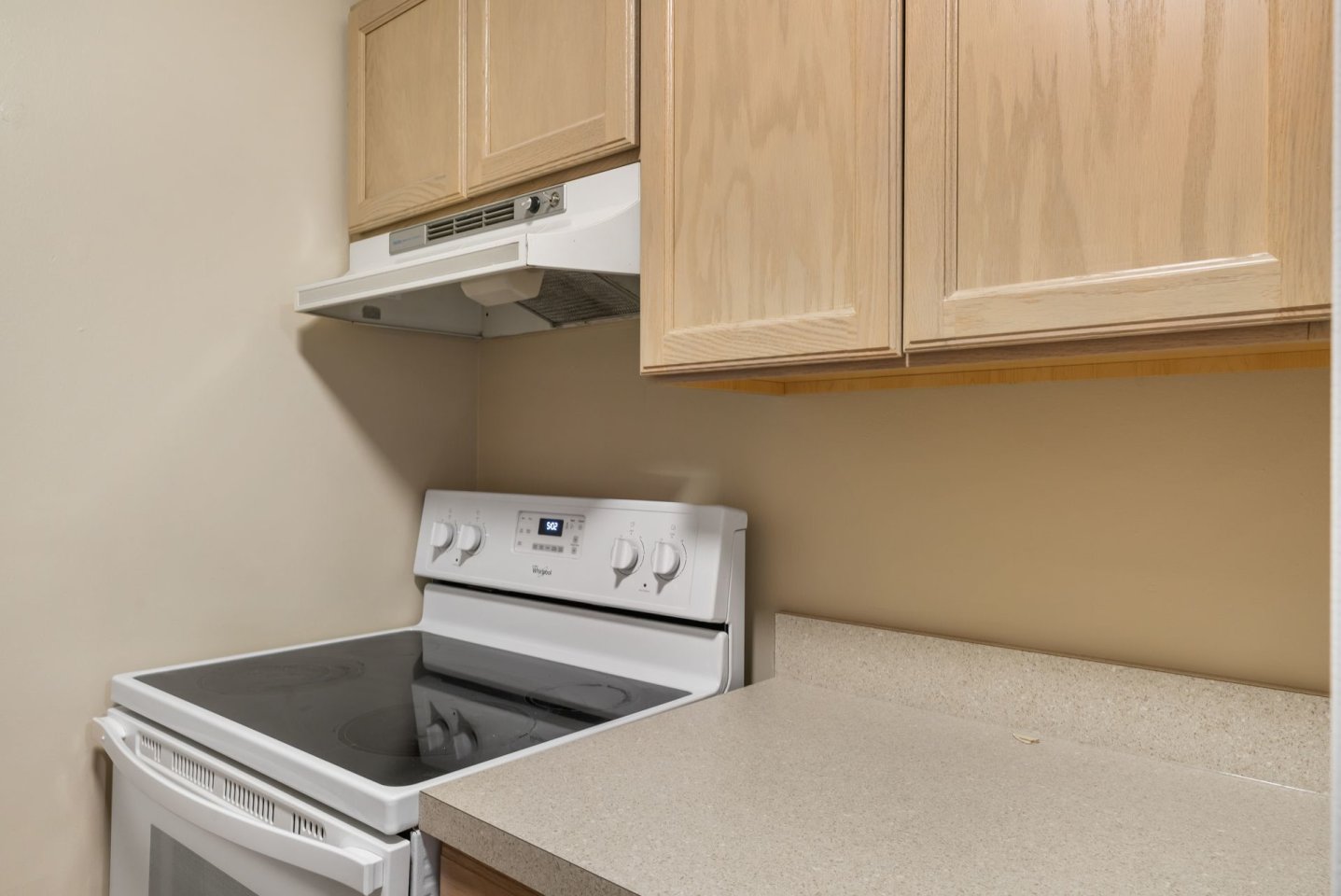 Dolphin Apartments Image 16