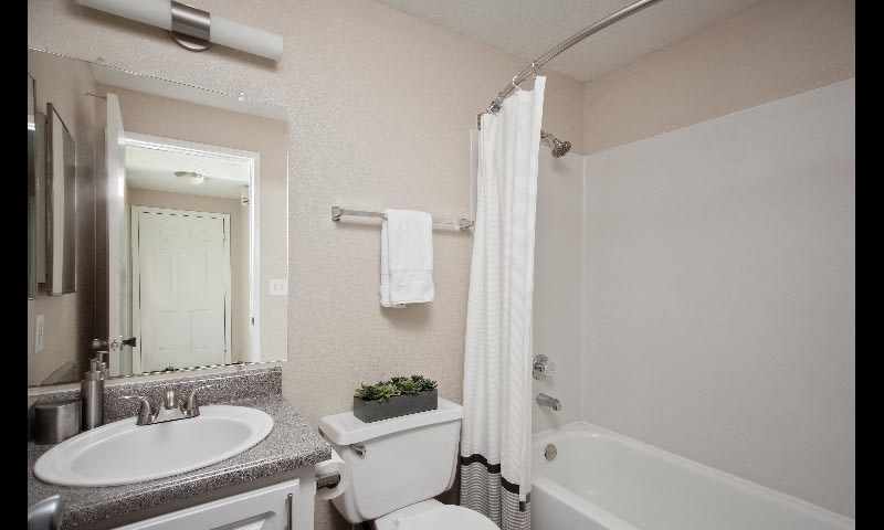 Avana One Zero Nine Image 39