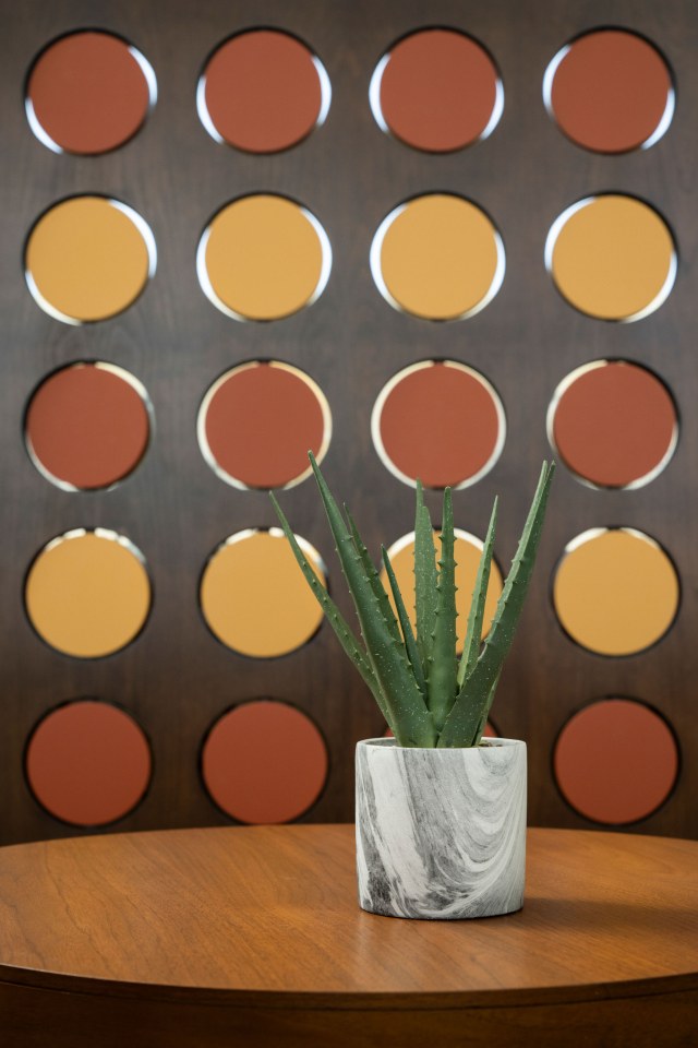 Cabana Southern Apartments Image 17