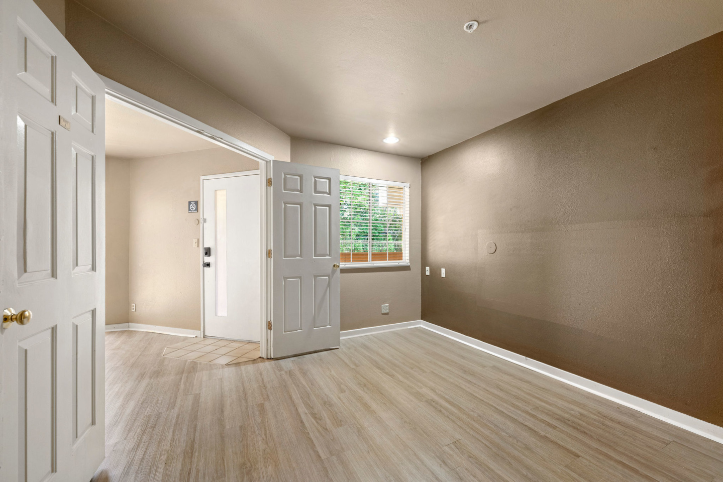505 Collection Image 42