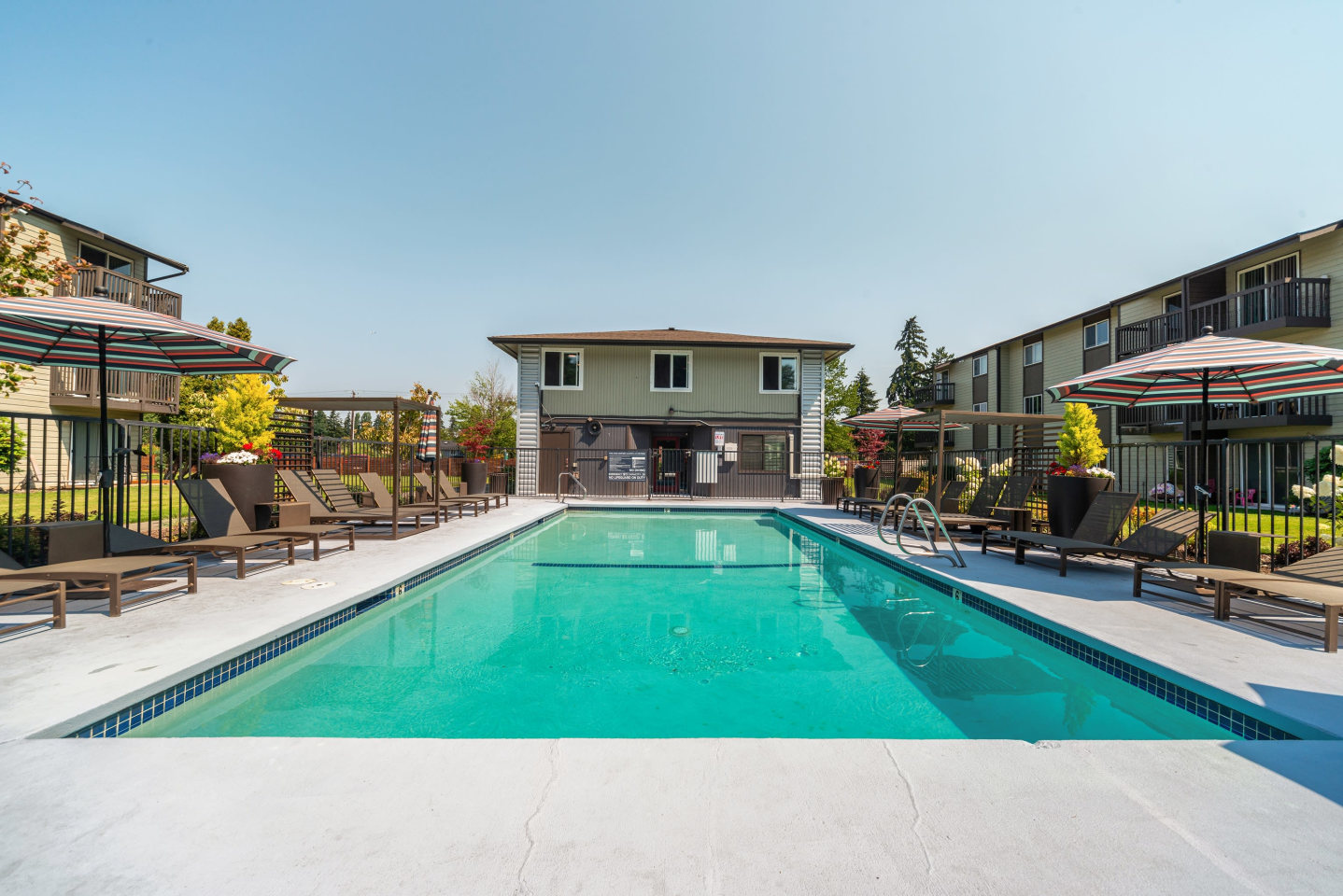Terra Apartments Image 37