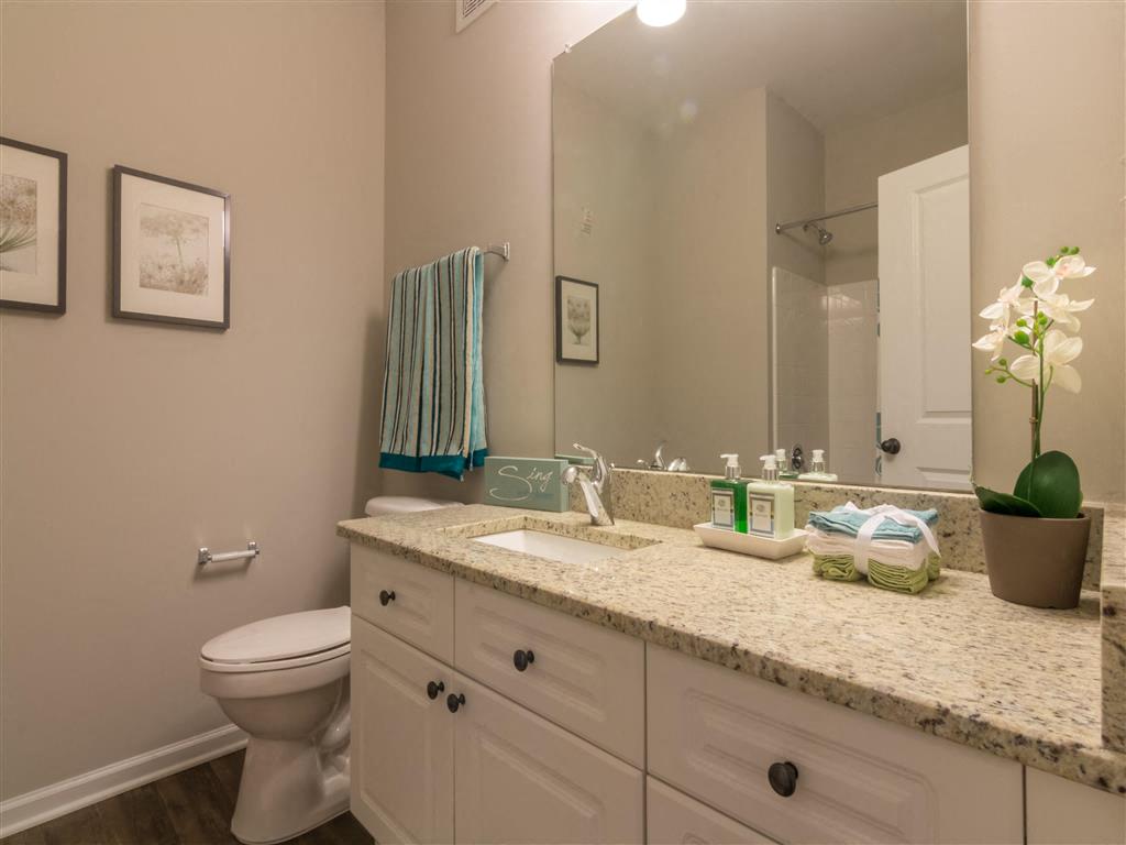 Pointe at Suwanee Station Image 1