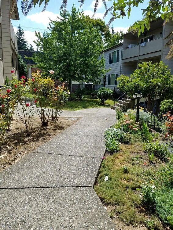 Rochelle Apartments Image 1