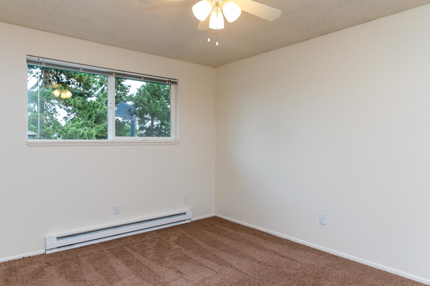 Pinewood Terrace Image 29